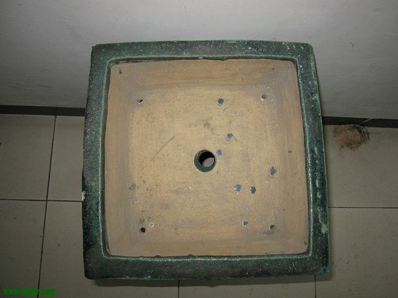lys 007_.jpg