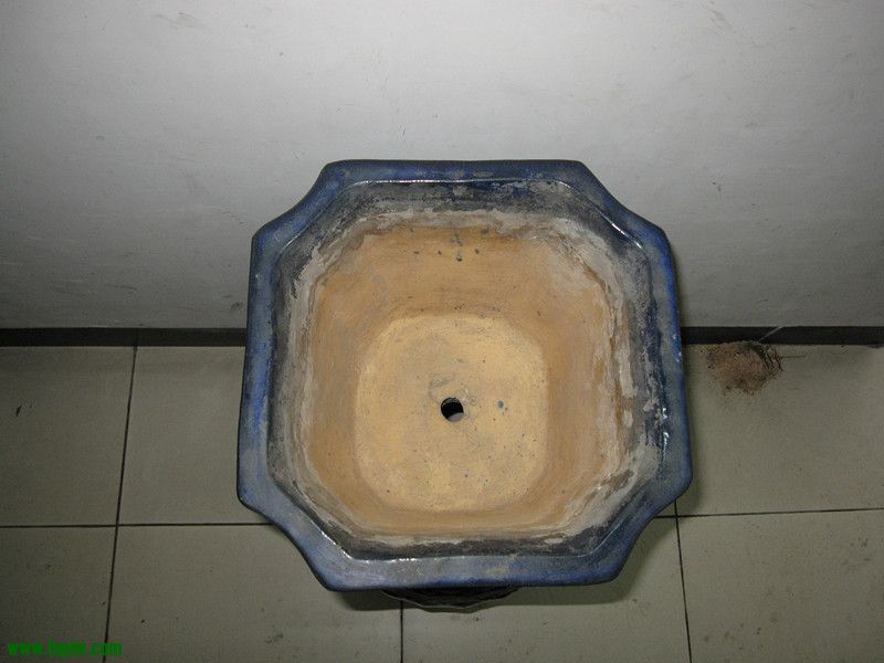 lys 011_.jpg