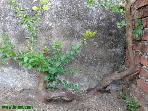 2012-07-30 18.16.43_.jpg