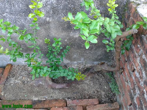 2012-07-30 18.18.46_.jpg