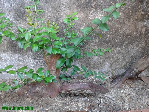 2012-07-30 18.11.54_.jpg