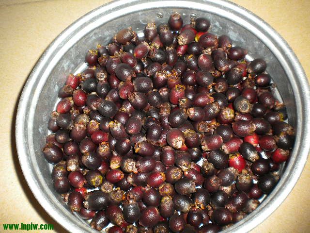 DSCN0051.JPG