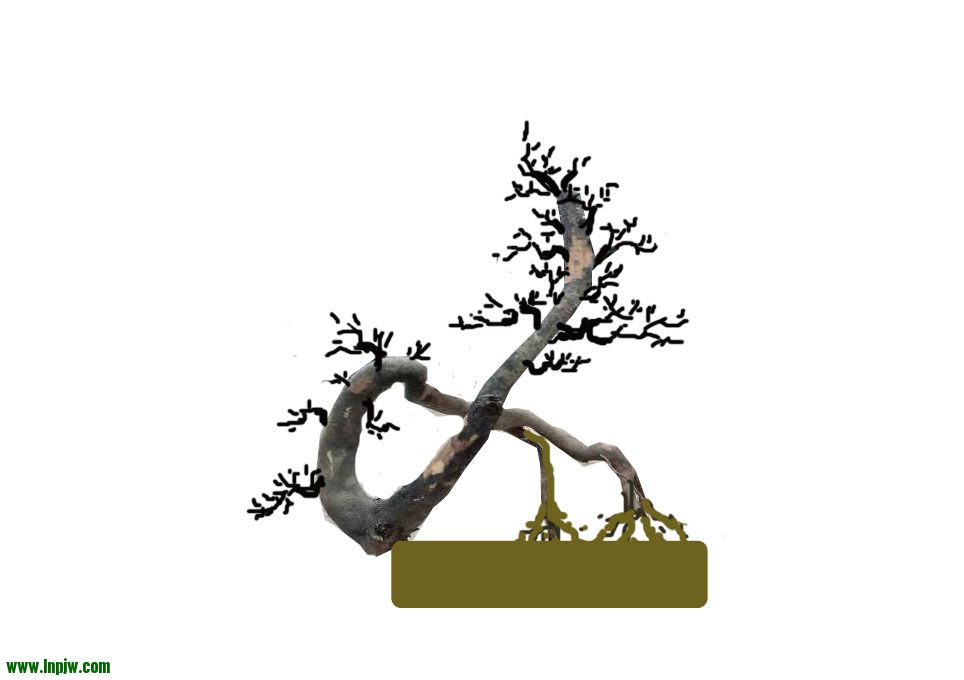 ç̽ͷ.jpg