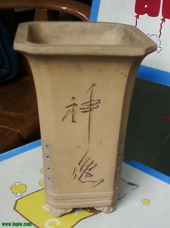 Ƭ869.jpg