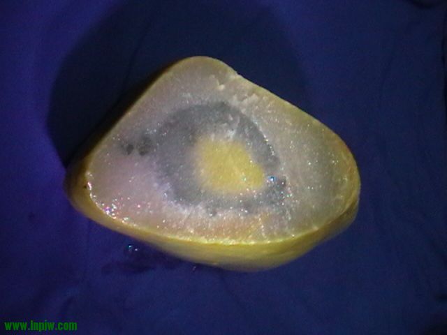 IMGA0742.JPG