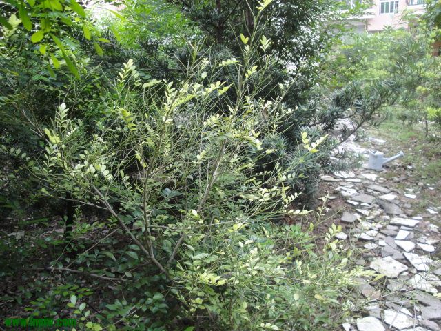 DSC03743.JPG