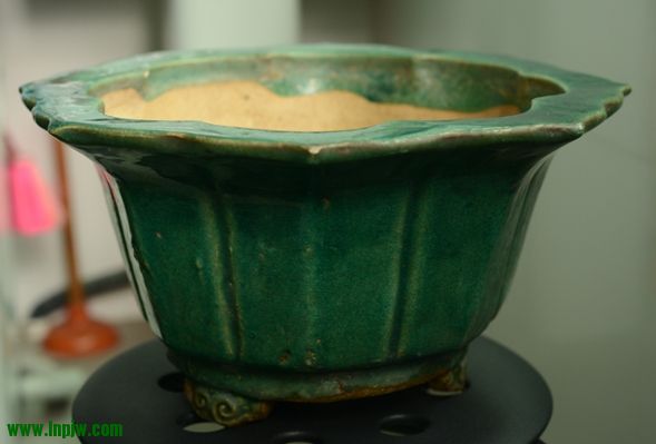 AAA_0516.JPG