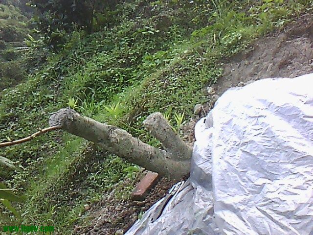 IMG10482.jpg