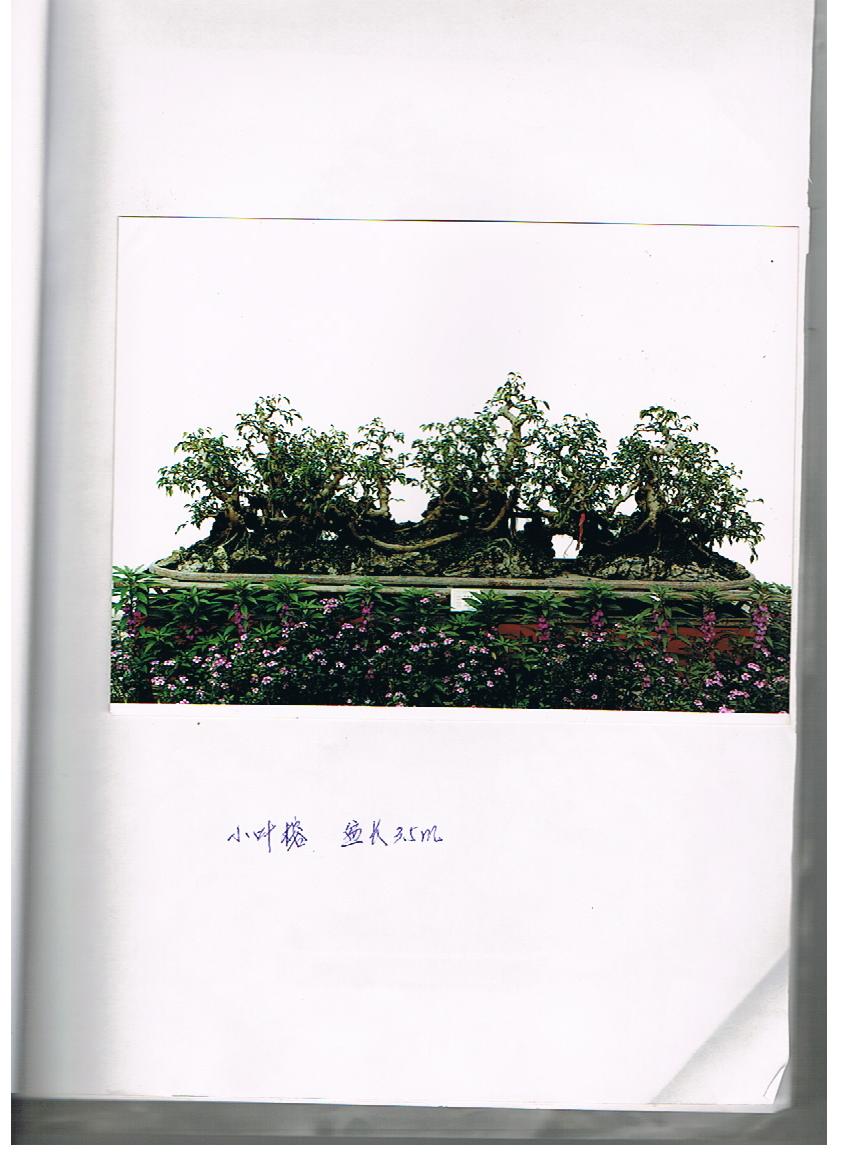 6 001.jpg