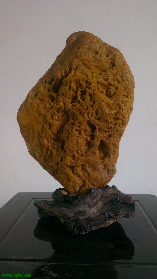IMAG0148.jpg