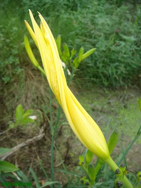 DSC02201.JPG