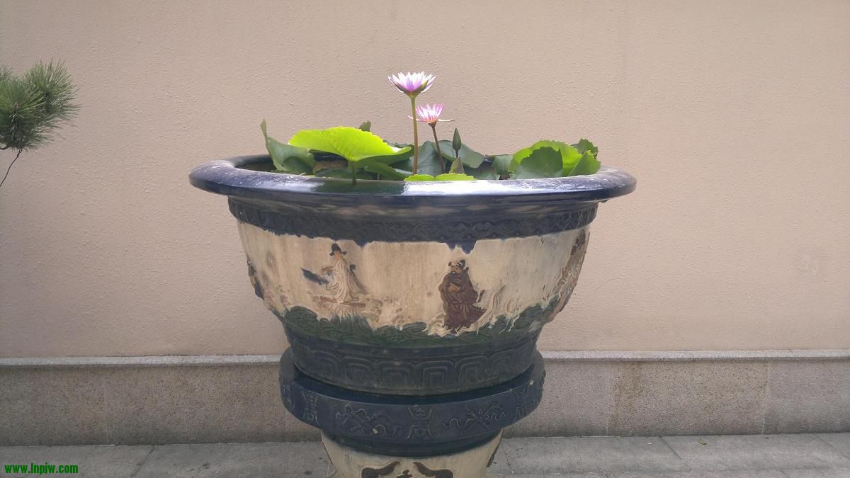 110420111373.jpg