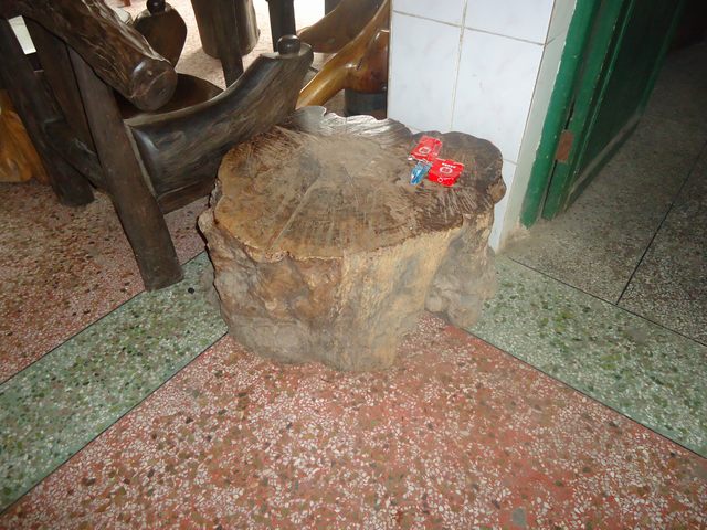 DSC01016.JPG
