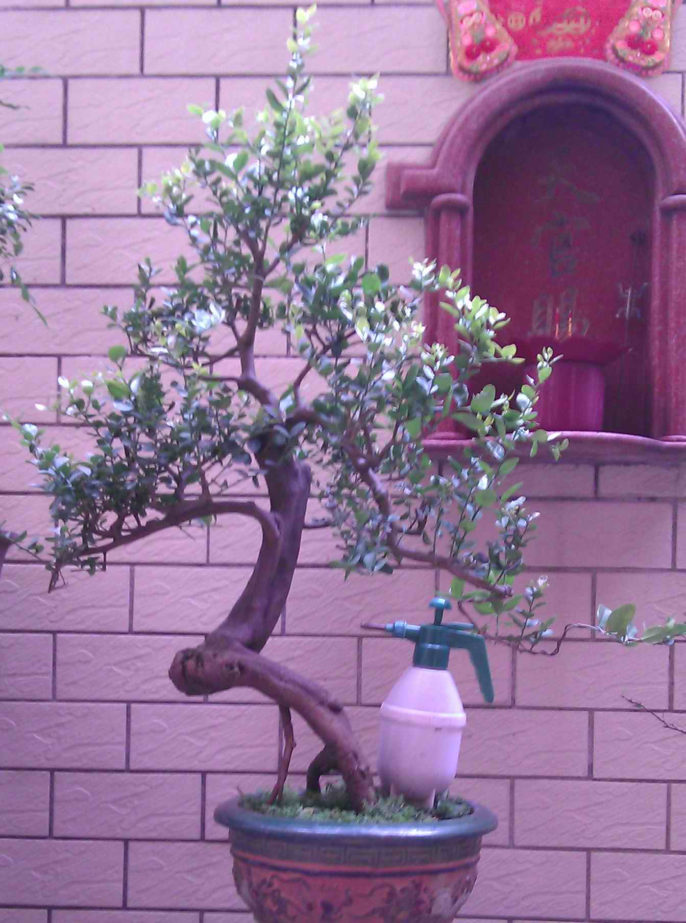 IMAG0527.jpg