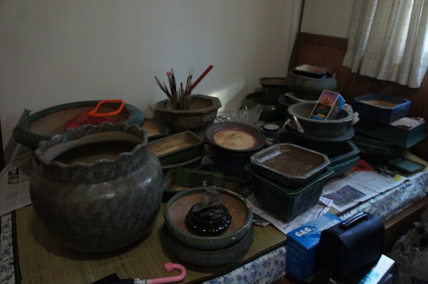 DSC00348.JPG