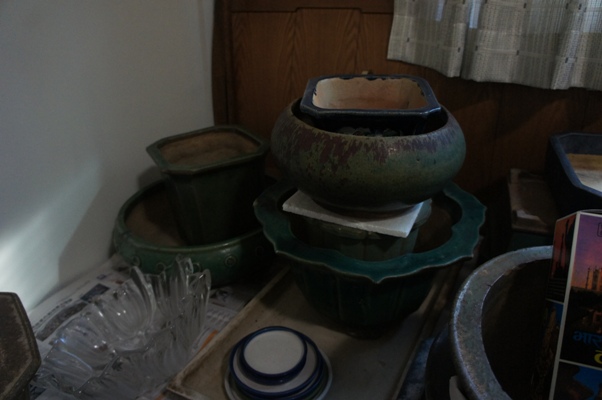 DSC00350.JPG