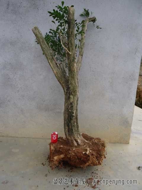 δ6.jpg