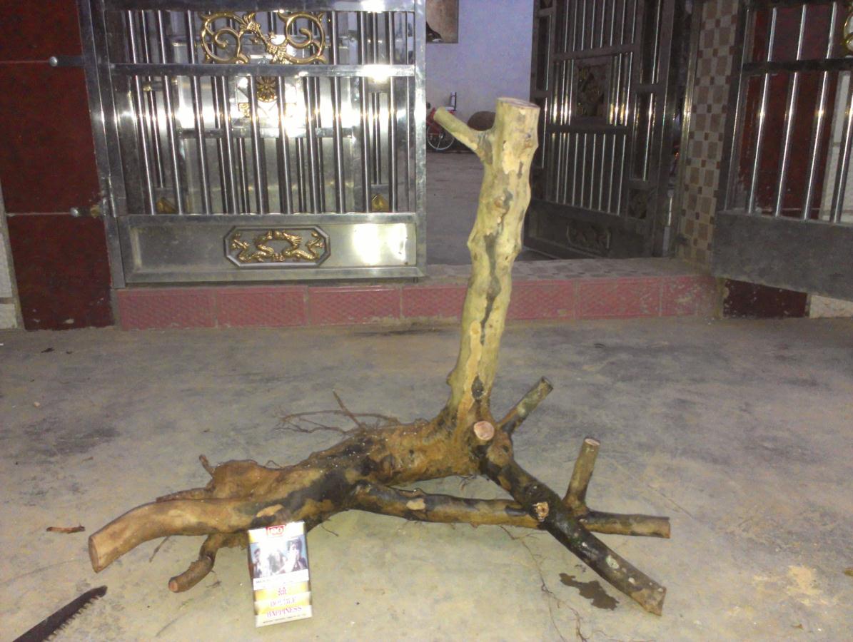 IMAG0298.jpg