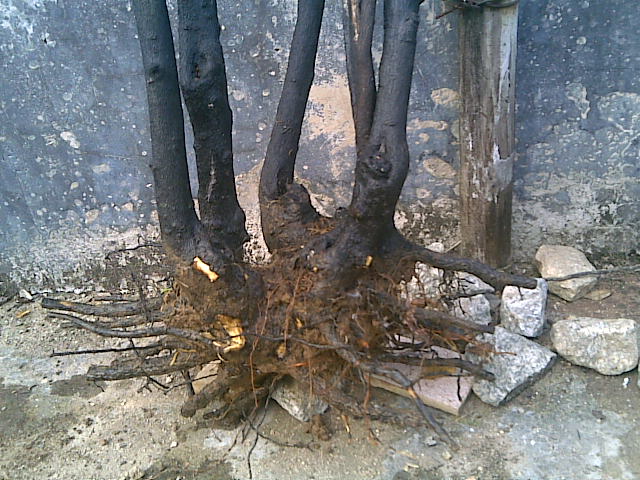 20121217(007).jpg
