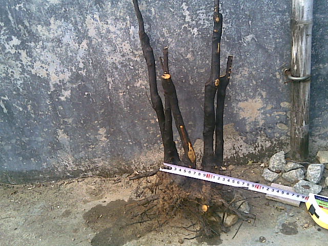 20121217(005).jpg