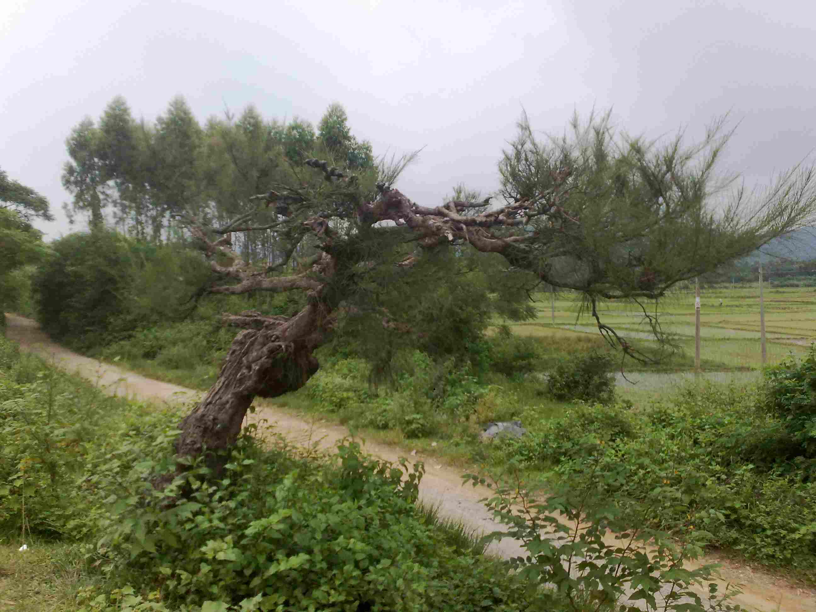 20120805734.jpg