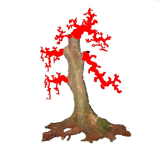 δ1.jpg