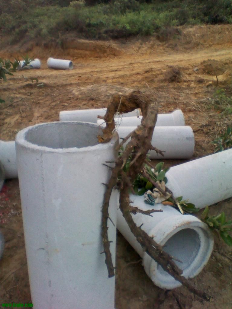 IMG_20121224_174118.jpg