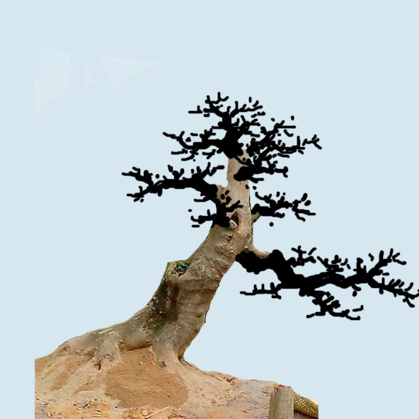δ-1.jpg