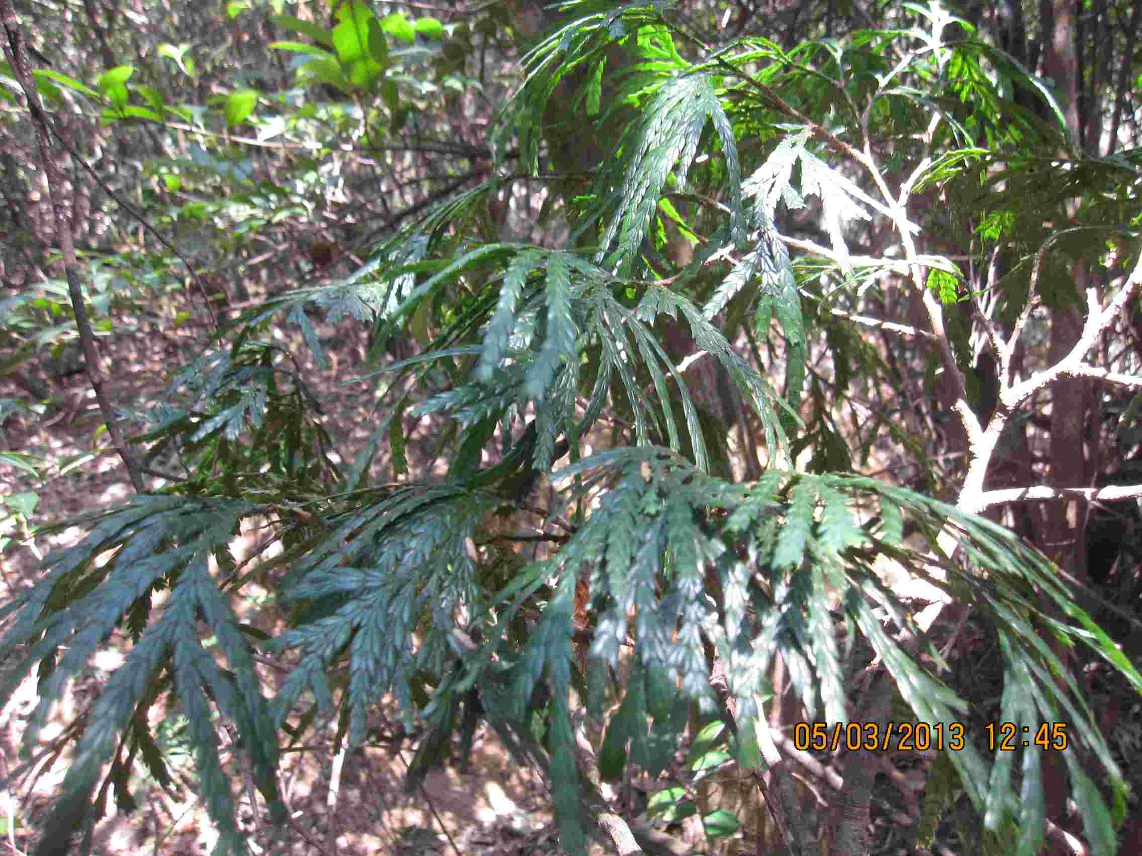 IMG_4874.jpg