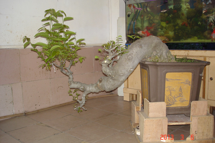 ˫2.JPG