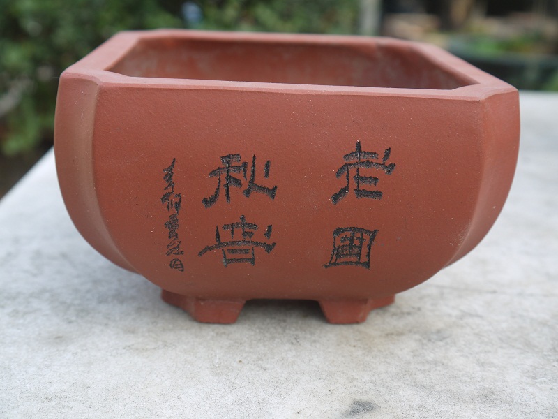 P1190437.JPG