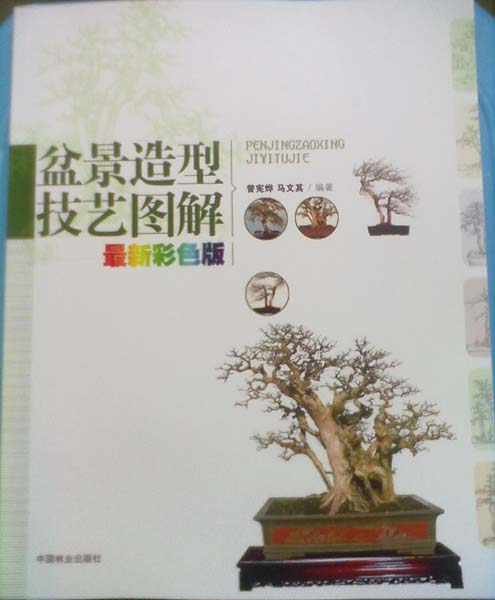 20130307981.jpg