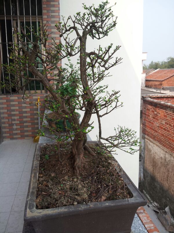 UC_Photo_038.jpg