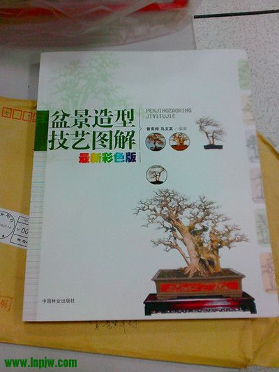 IMG20130307001_.jpg