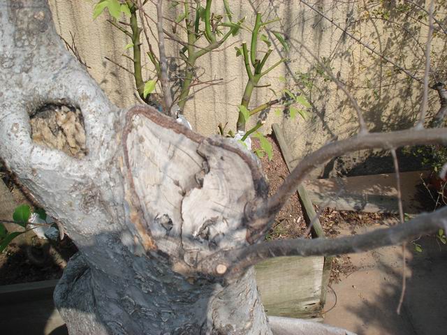 DSC00383.JPG