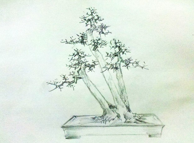 91.jpg