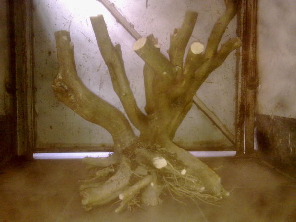 201303061505.jpg