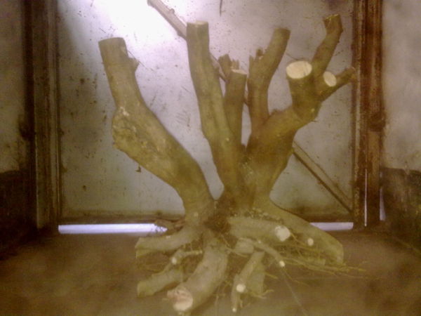 201303061506.jpg