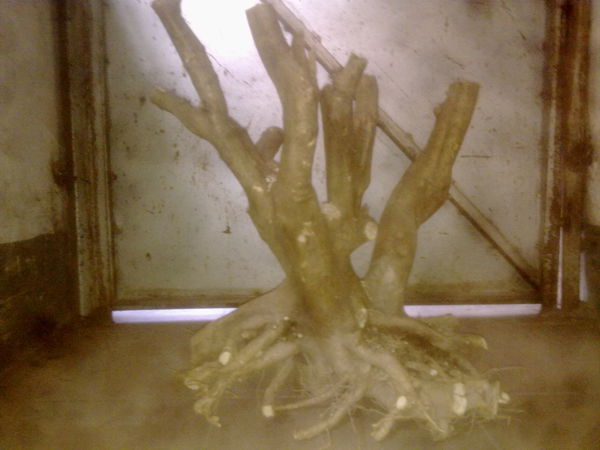 201303061507.jpg