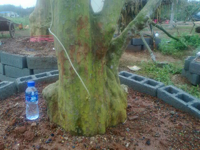 20120409_27.jpg