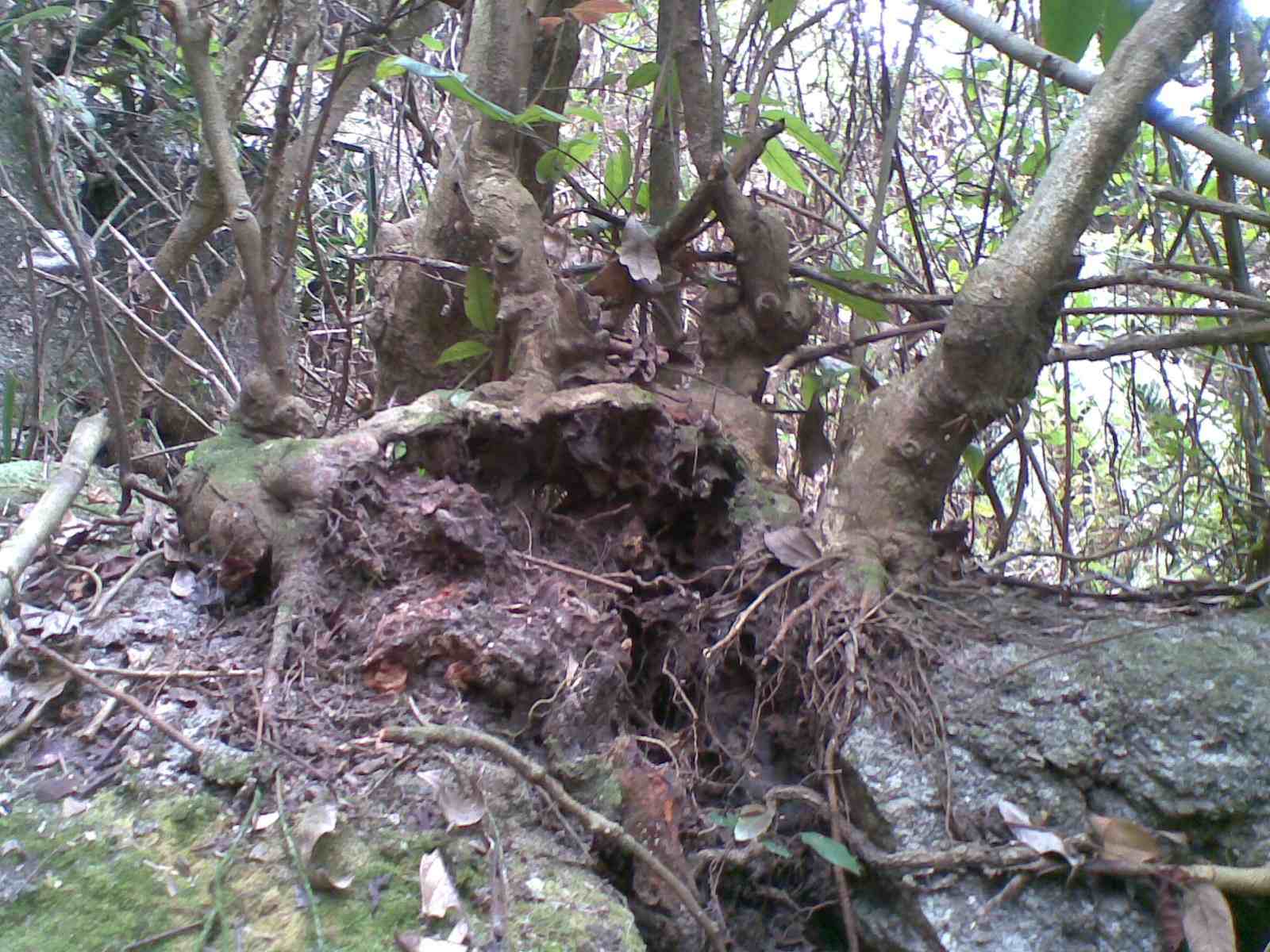 20130315(004).jpg