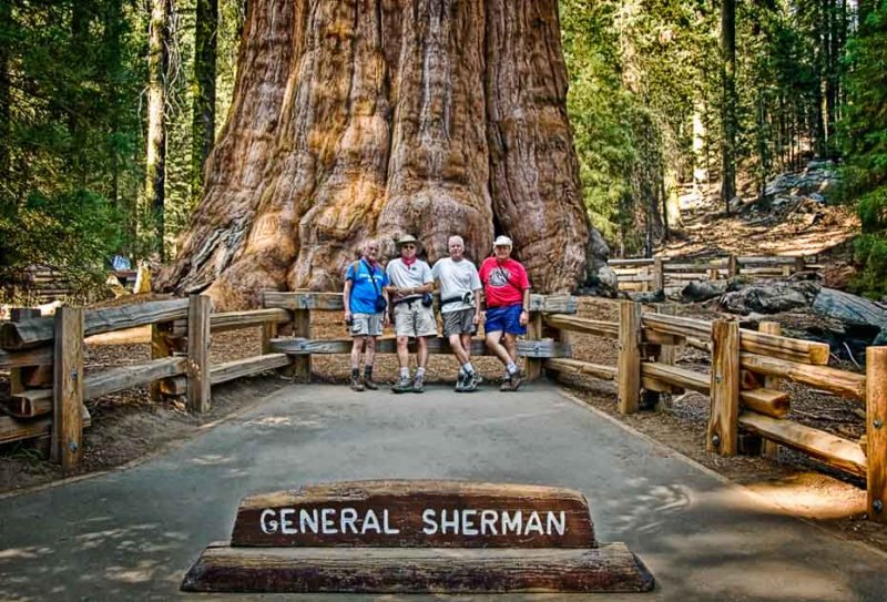 ѩGeneral Sherman Treeѳ3500䣬83.5ףΧ31ףǽ.jpg