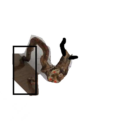 180310ncv2hvd2rhrqz2ze_jpg_thumb.jpg