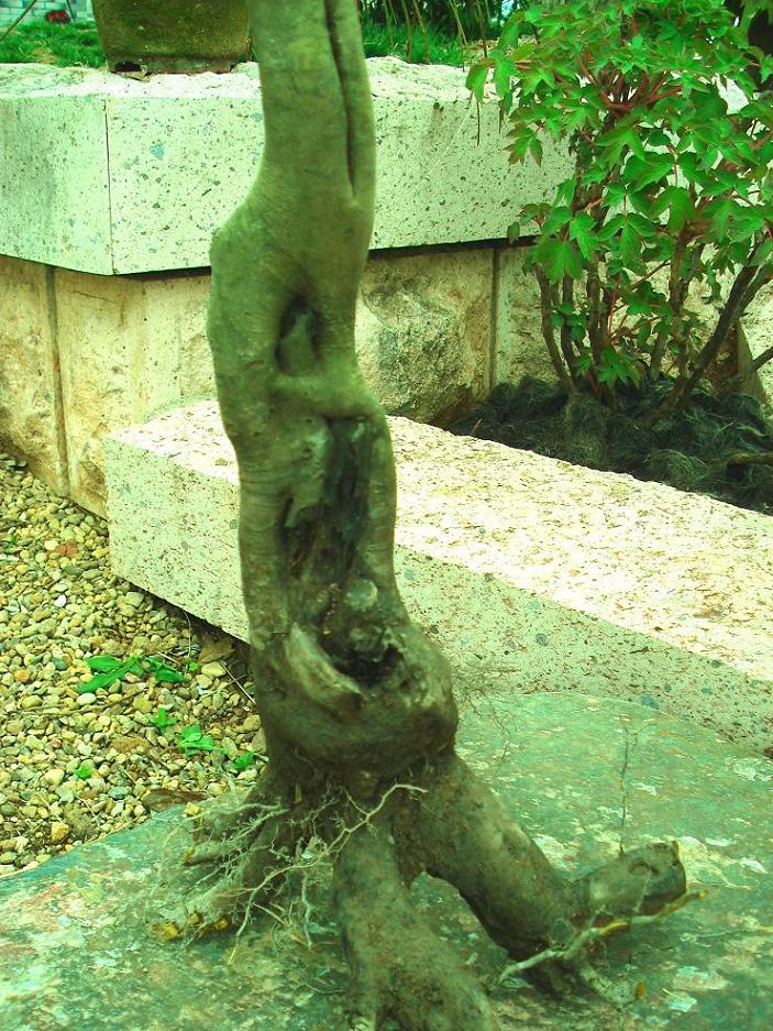 DSC02545.JPG