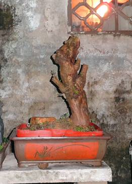 DSC06878_.jpg