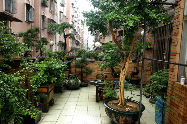 DSC02484_.jpg