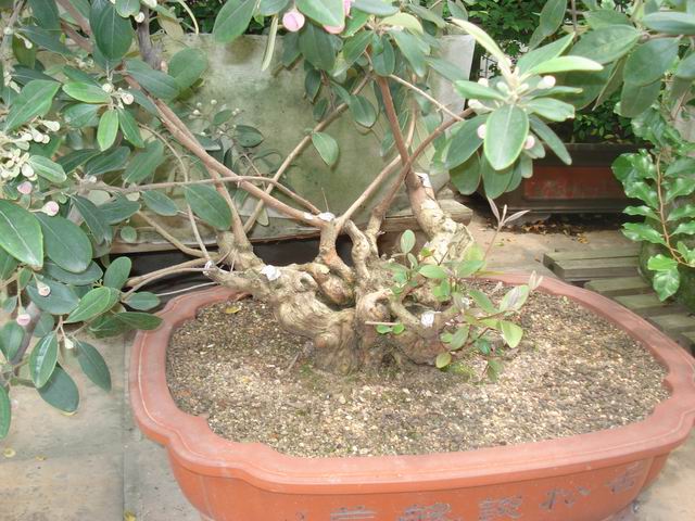 DSC00465.JPG