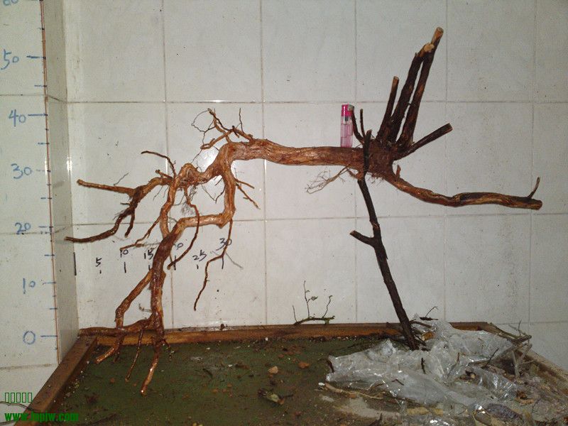 20110326510_.jpg