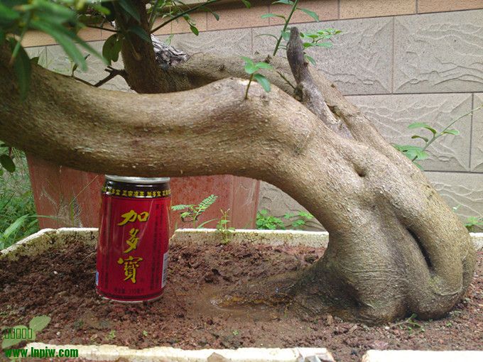 20130815375__.jpg