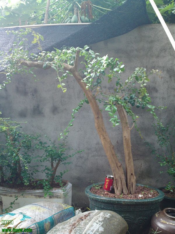 20130815384_.jpg
